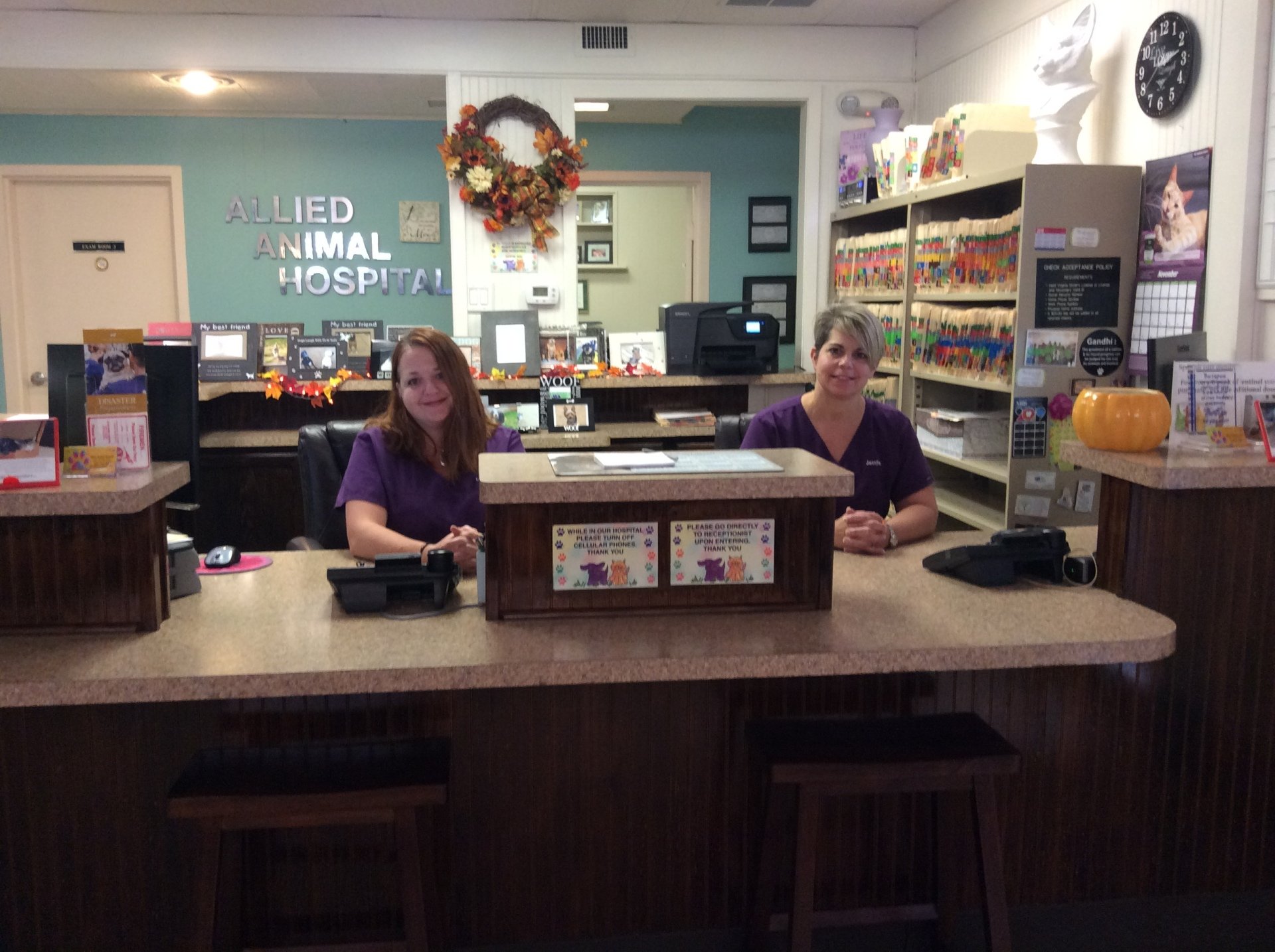 Allied Animal Hospital Richmond, VA Veterinarians Pet Care Boarding