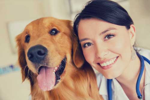 Experienced Veterinarian Ocala, FL Skylark Animal Hospital