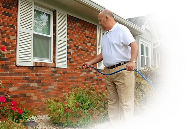 Termite Inspections in Knoxville, TN npiweb.com