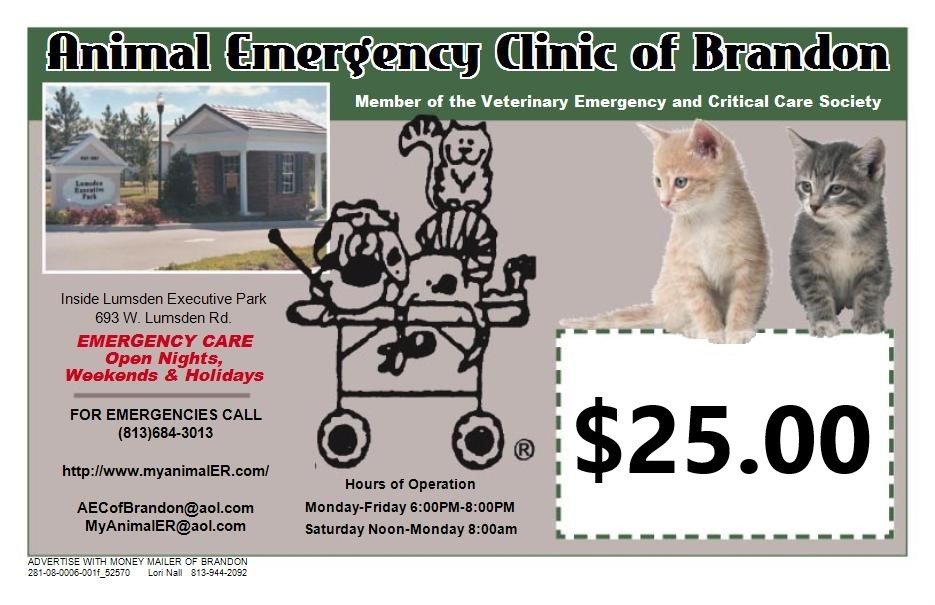 Veterinary Service Brandon, FL Animal Emergency Clinic of Brandon