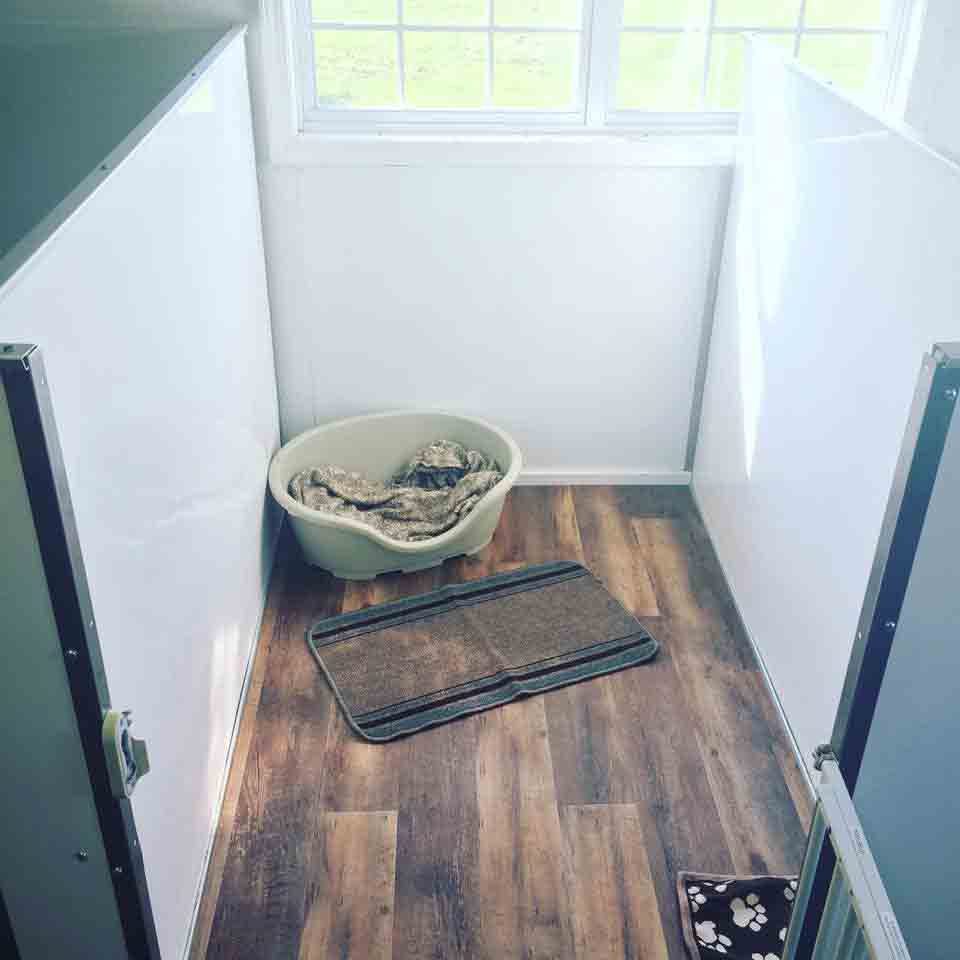 Dog Boarding Lexington Ky Pet Boarding Hotel in Lexington, KY