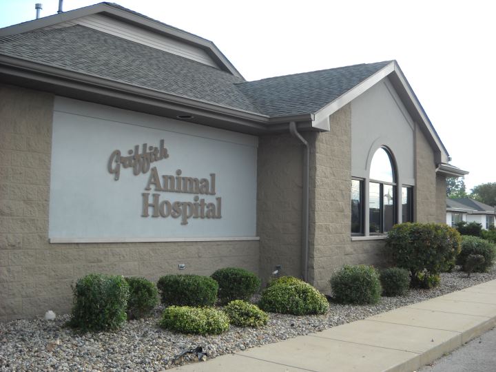 Animal Hospital Gallery Griffith, IN Griffith Animal Hospital P.C.