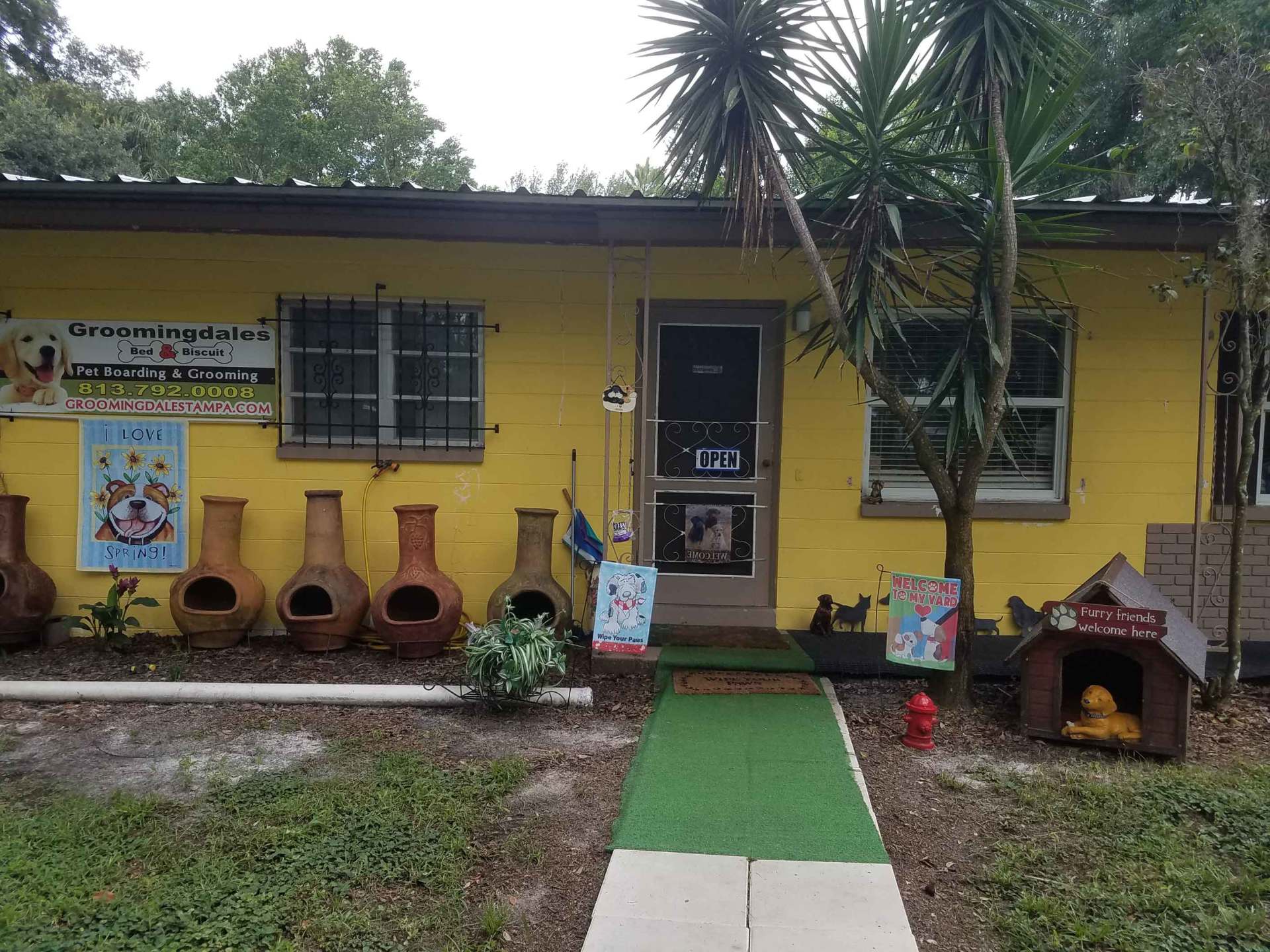 Pet Hotel Tampa The Y Guide