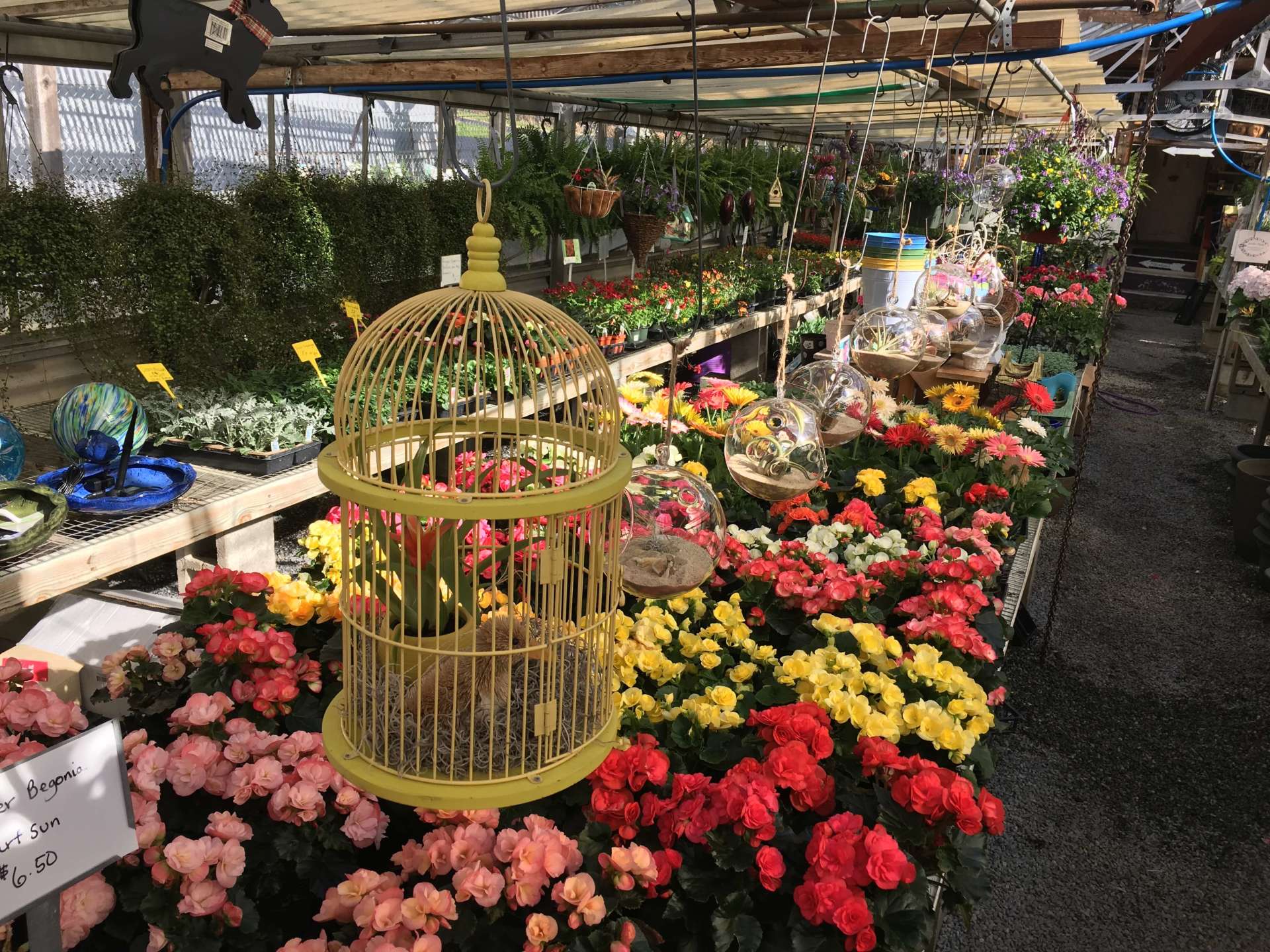 Garden Center West Chester, PA Gallery