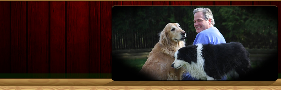 Gibbons Veterinary Hospital Vet Clinic Wading River, NY