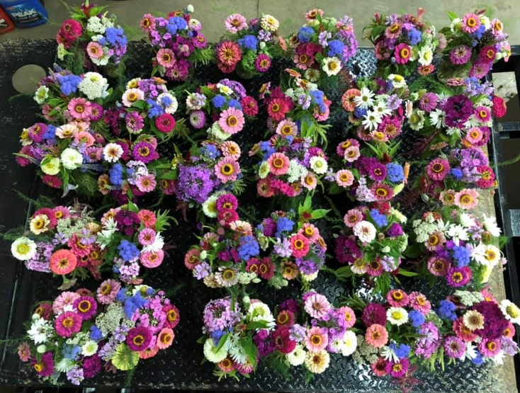 Pleasant Prairie Greenhouse and Urban Landscaping Solar Energy Evansville