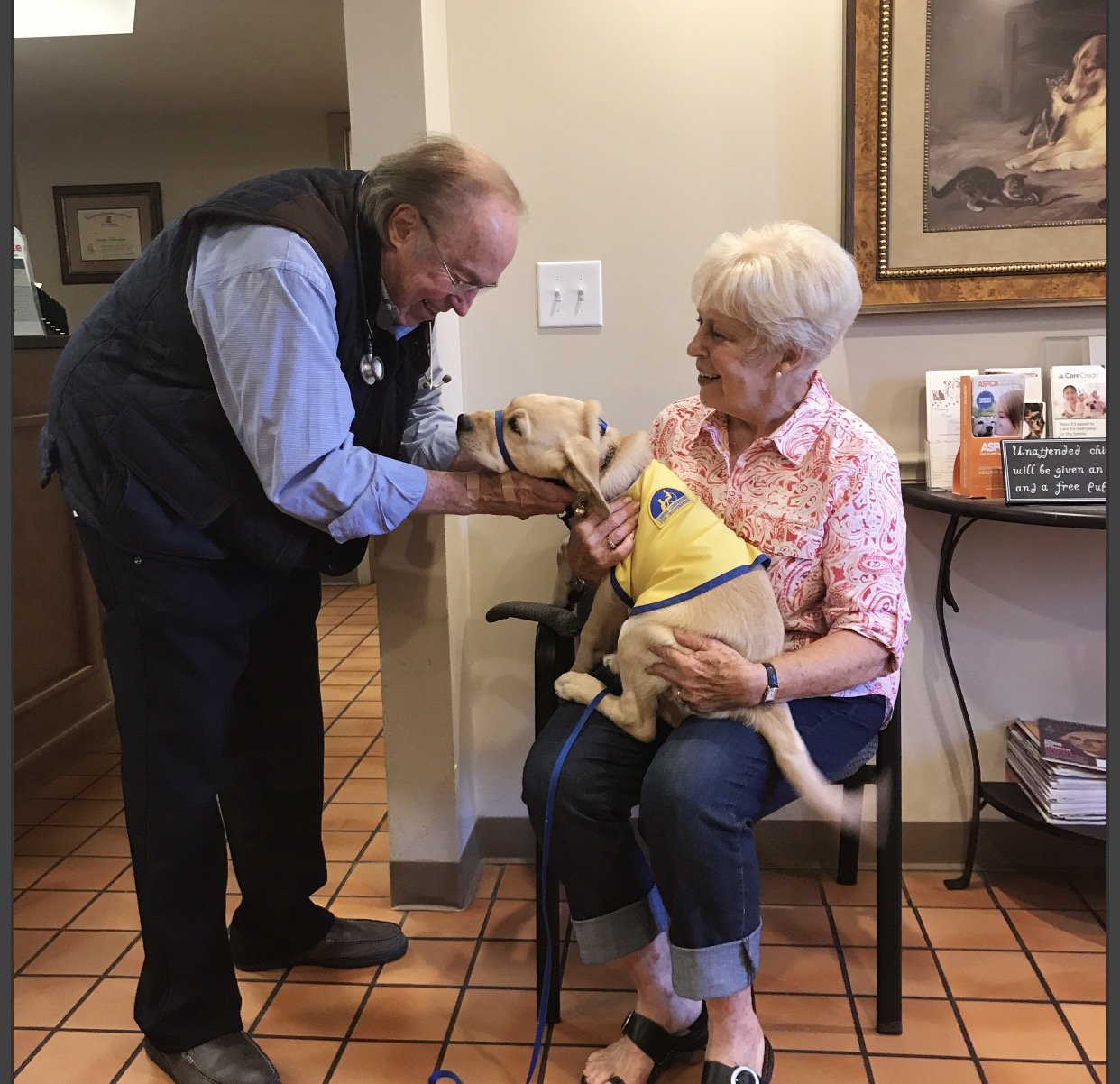 Lashley Animal Hospital Veterinary Services Swansea, IL