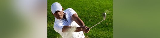 Golf and Sports Links and Endorsements Dream Swing