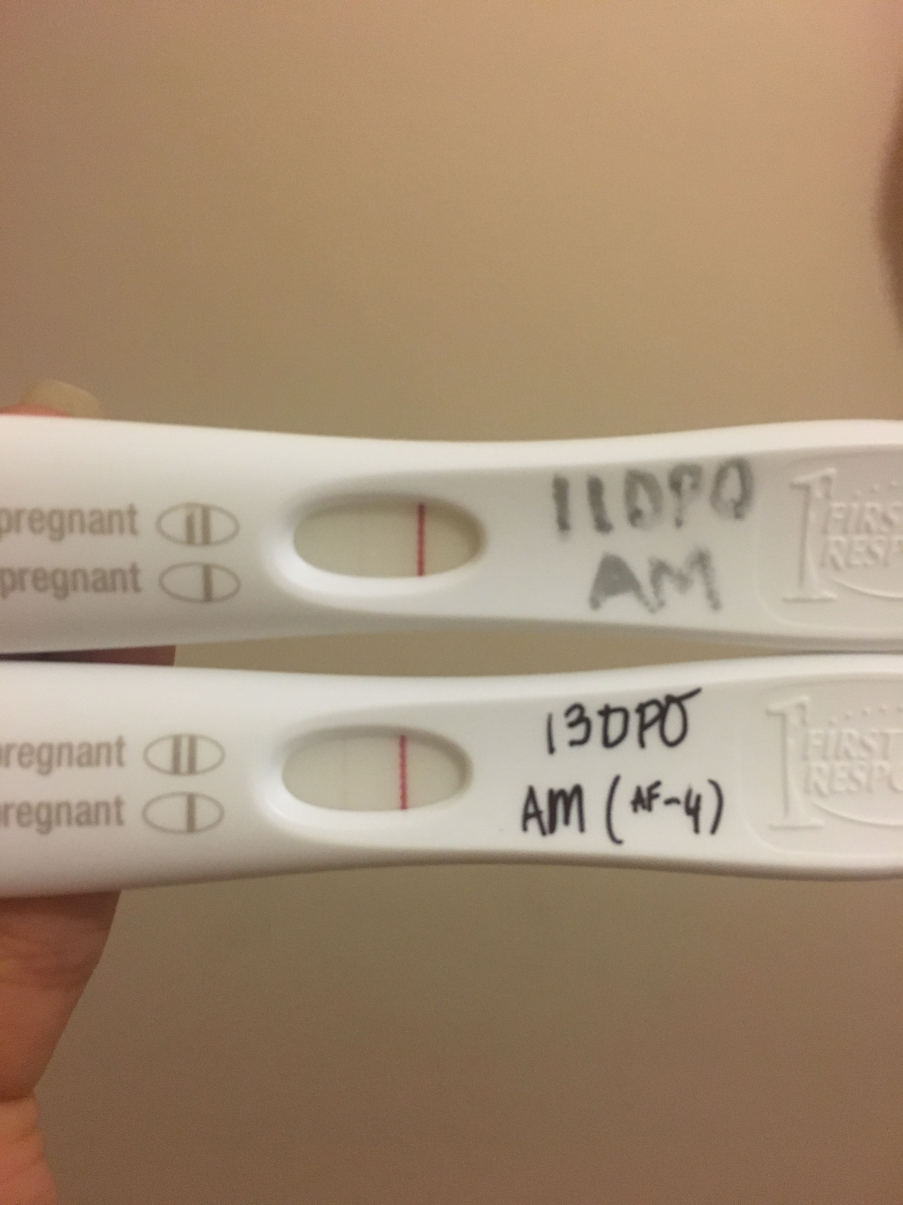 Pregnancy Test Progression By Dpo pregnancy test