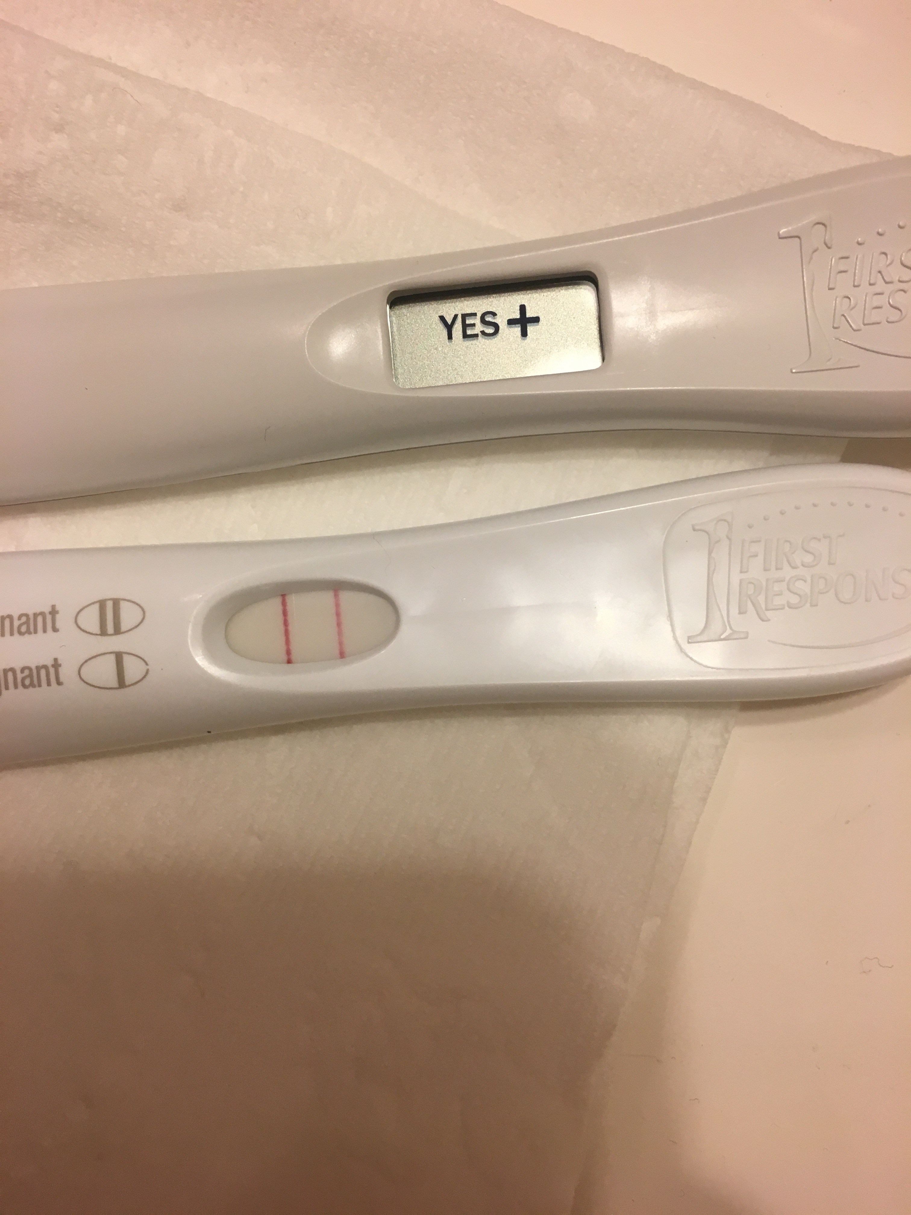 Positive Pregnancy Test But Not Pregnant Ovarian Cyst pregnancy test