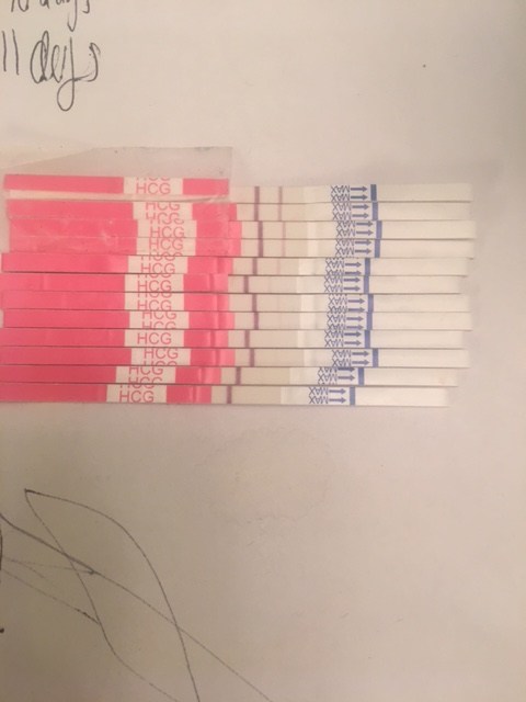 Can you ovulate with HCG in your system from a loss? Page 3