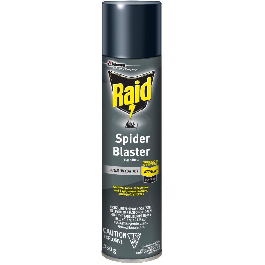 Raid 350g Spider Killer Spray Weeks Home Hardware