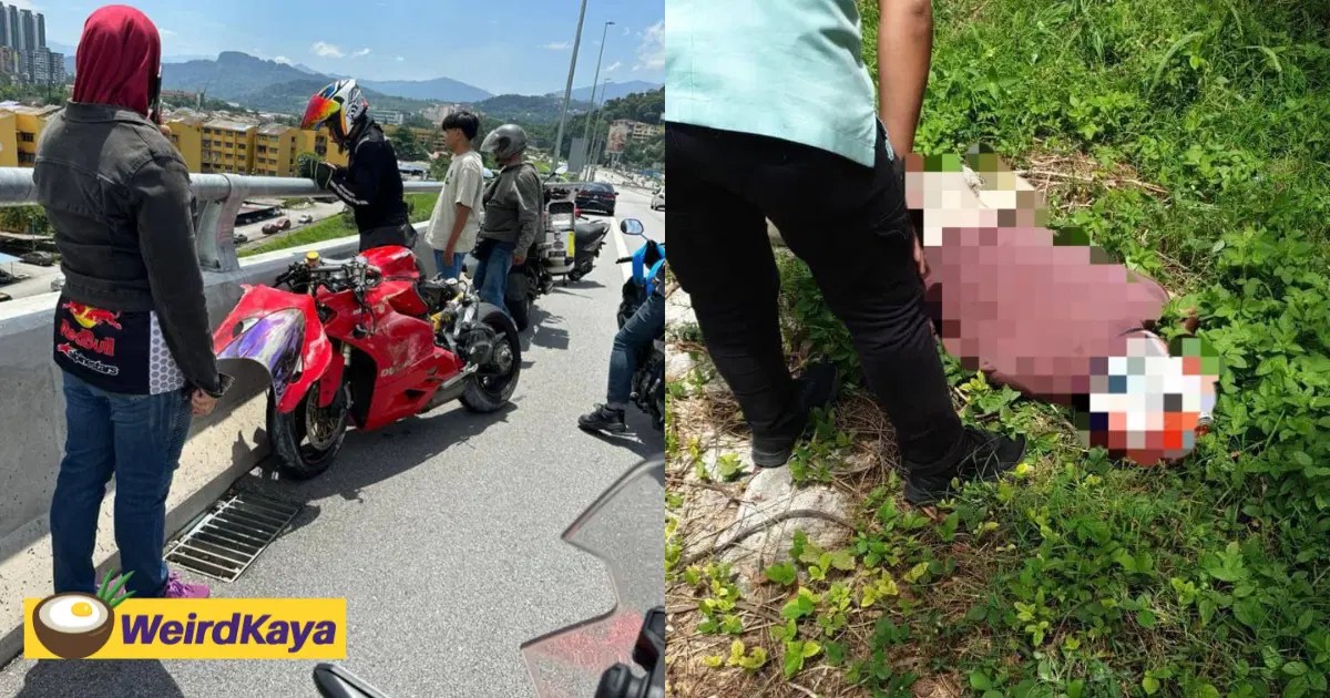 64yo M'sian Man Thrown Off SUKE Highway While Trying To Avoid