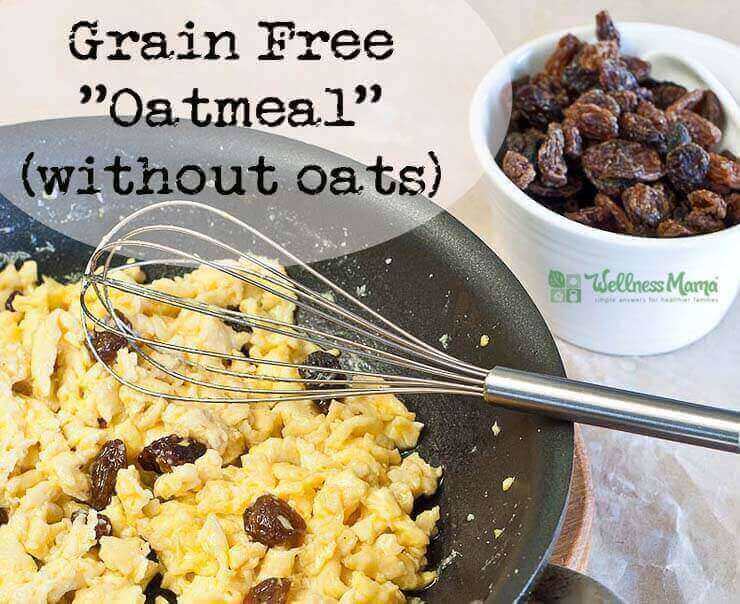 Grain Free Oatmeal Recipe Wellness Mama
