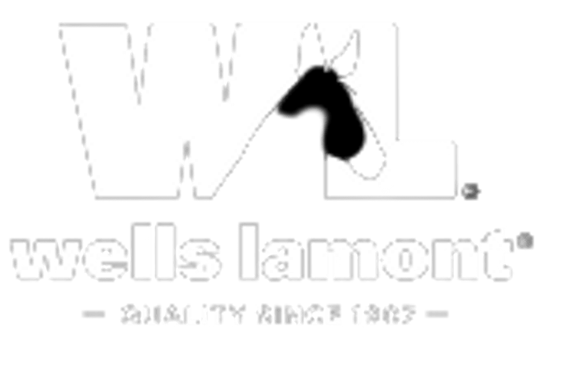 Wells Lamont Clothing, Shoes & Accessories WHAT’S ON THE STAR?