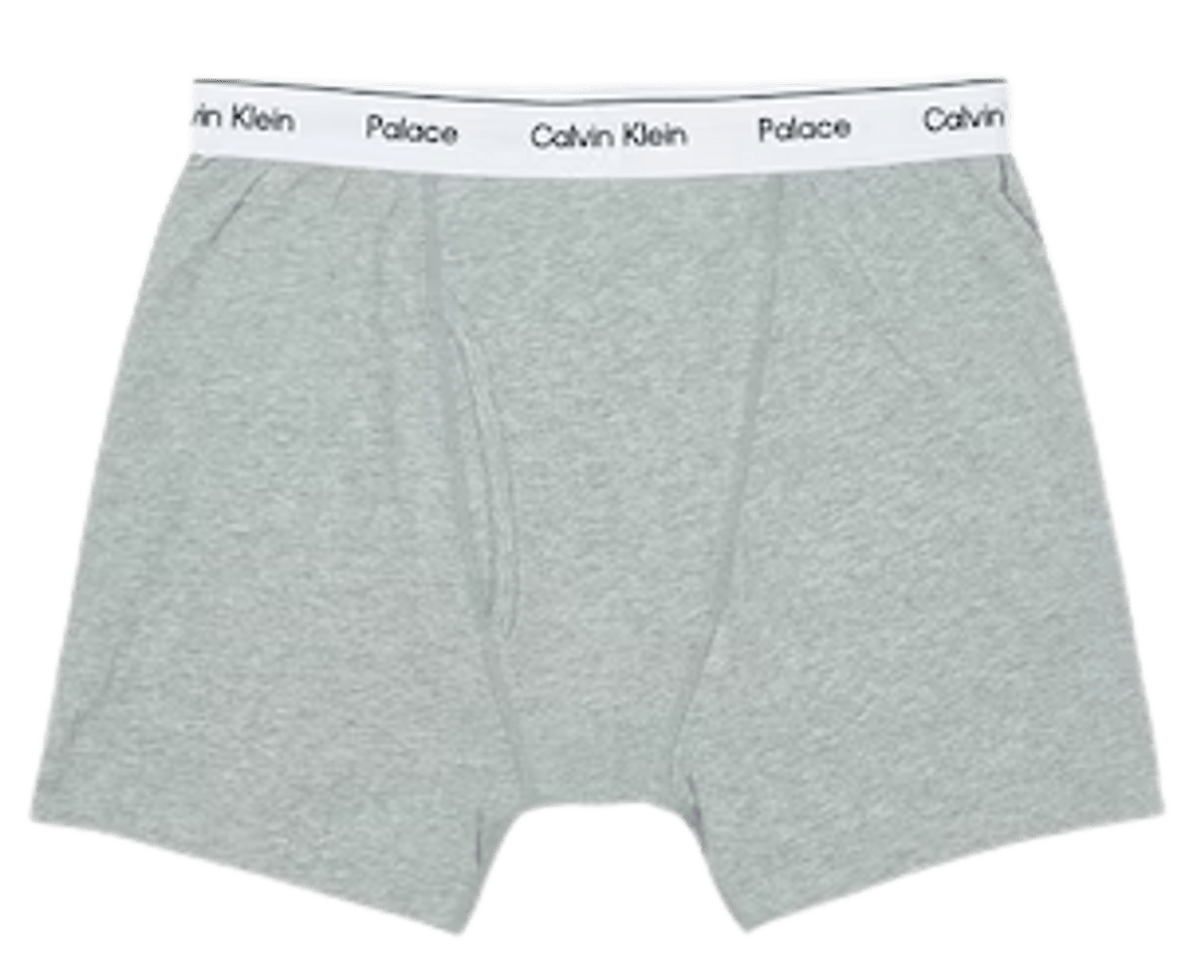 Palace × Calvin Klein Grey Boxer Briefs WHAT’S ON THE STAR?