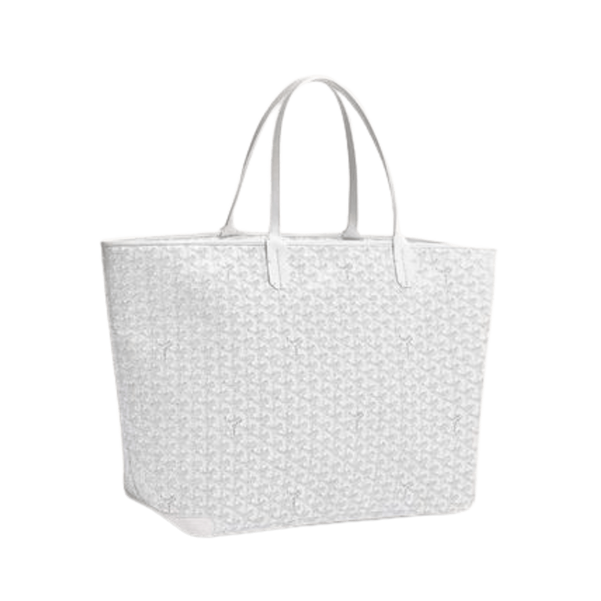 Goyard White Logo Bag WHAT’S ON THE STAR?