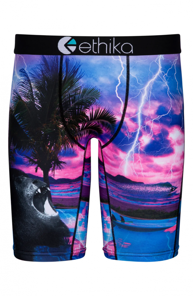 Ethika Boxer Briefs WHAT’S ON THE STAR?