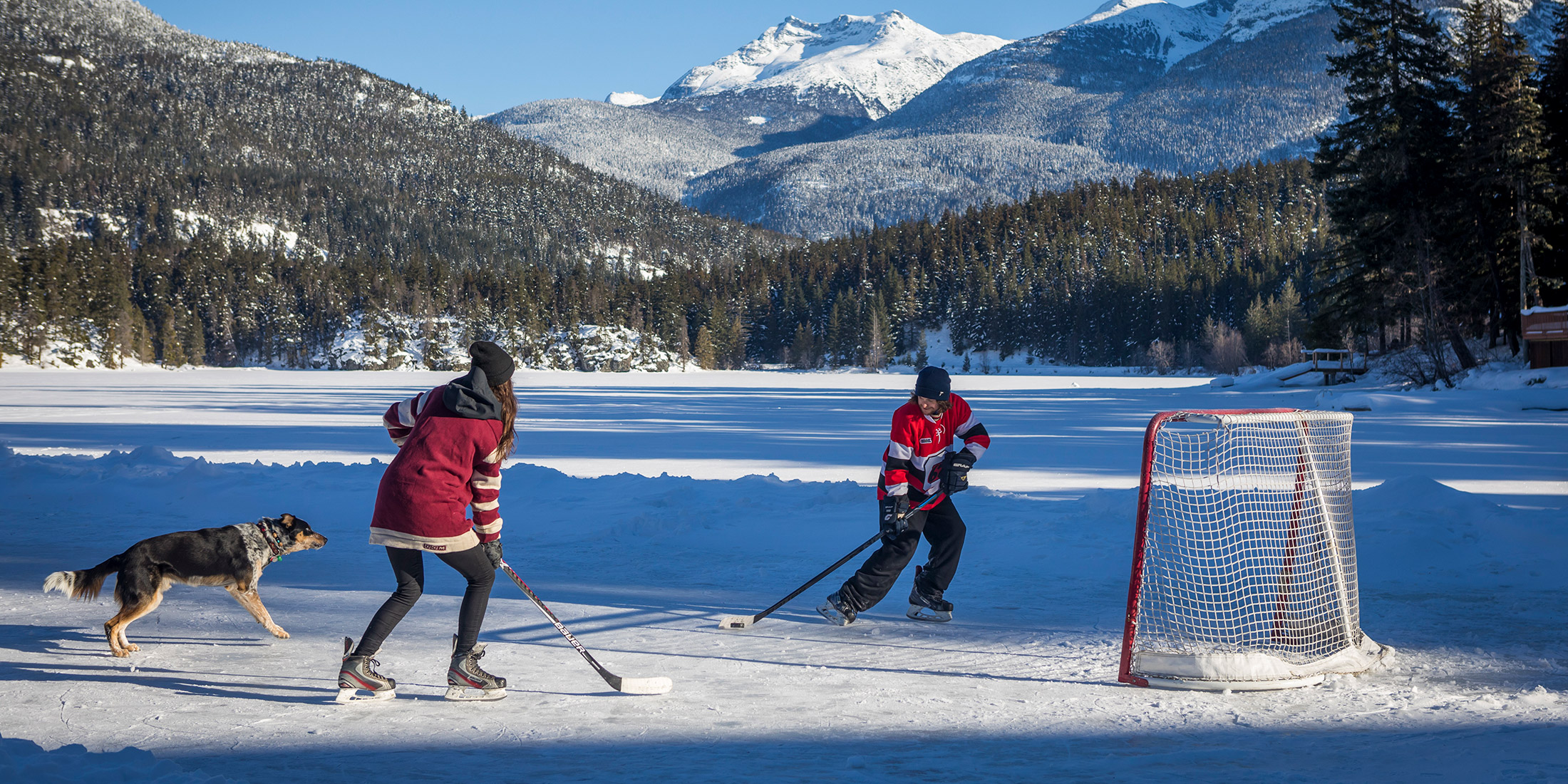Travelling with Pets in Whistler Tourism Whistler