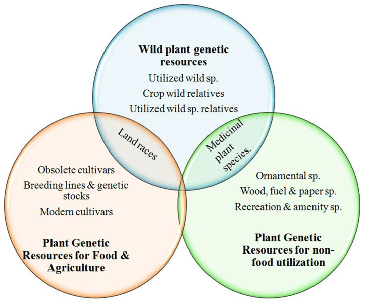 Why Conserve Tropical Fruit Trees, and How Do Farmers Benefit? Wikifarmer