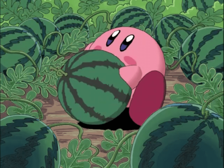 FileAnime Watermelon.png WiKirby it's a wiki, about Kirby!