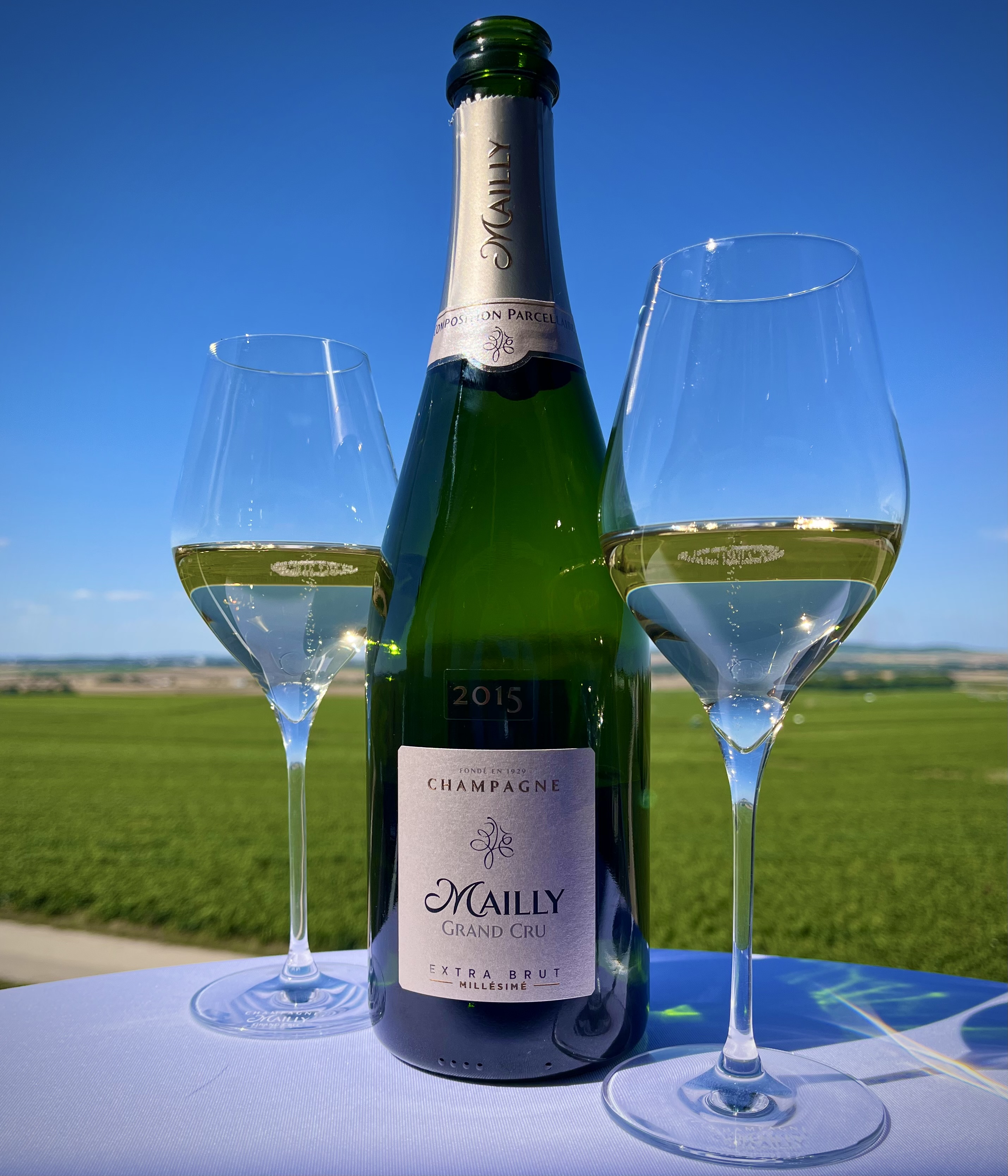 Champagne Mailly Grand Cru ⭐️ Book Tours & Tastings