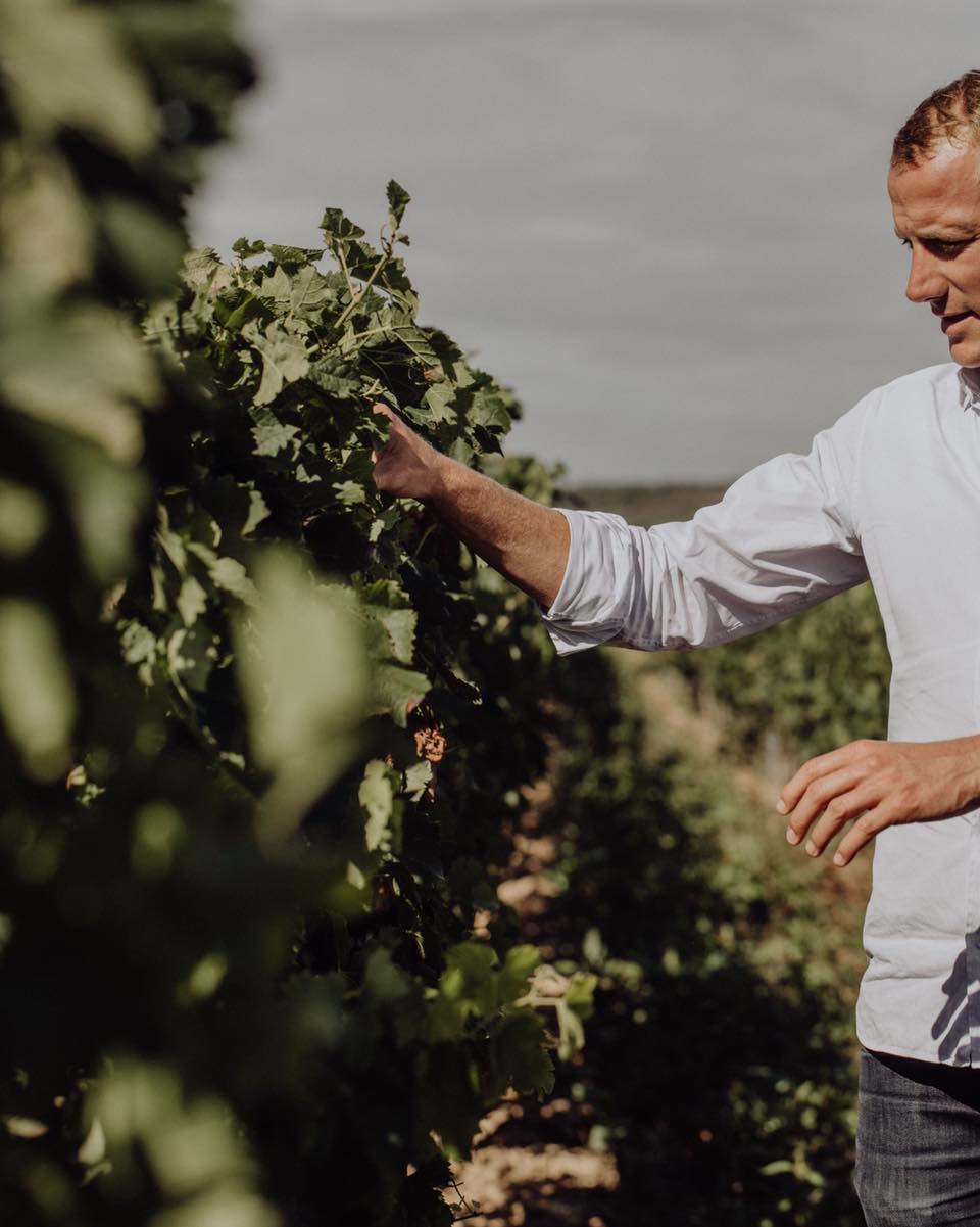 Le Domaine La Bouche Du Roi Réservez votre Visite ⭐️ 2024