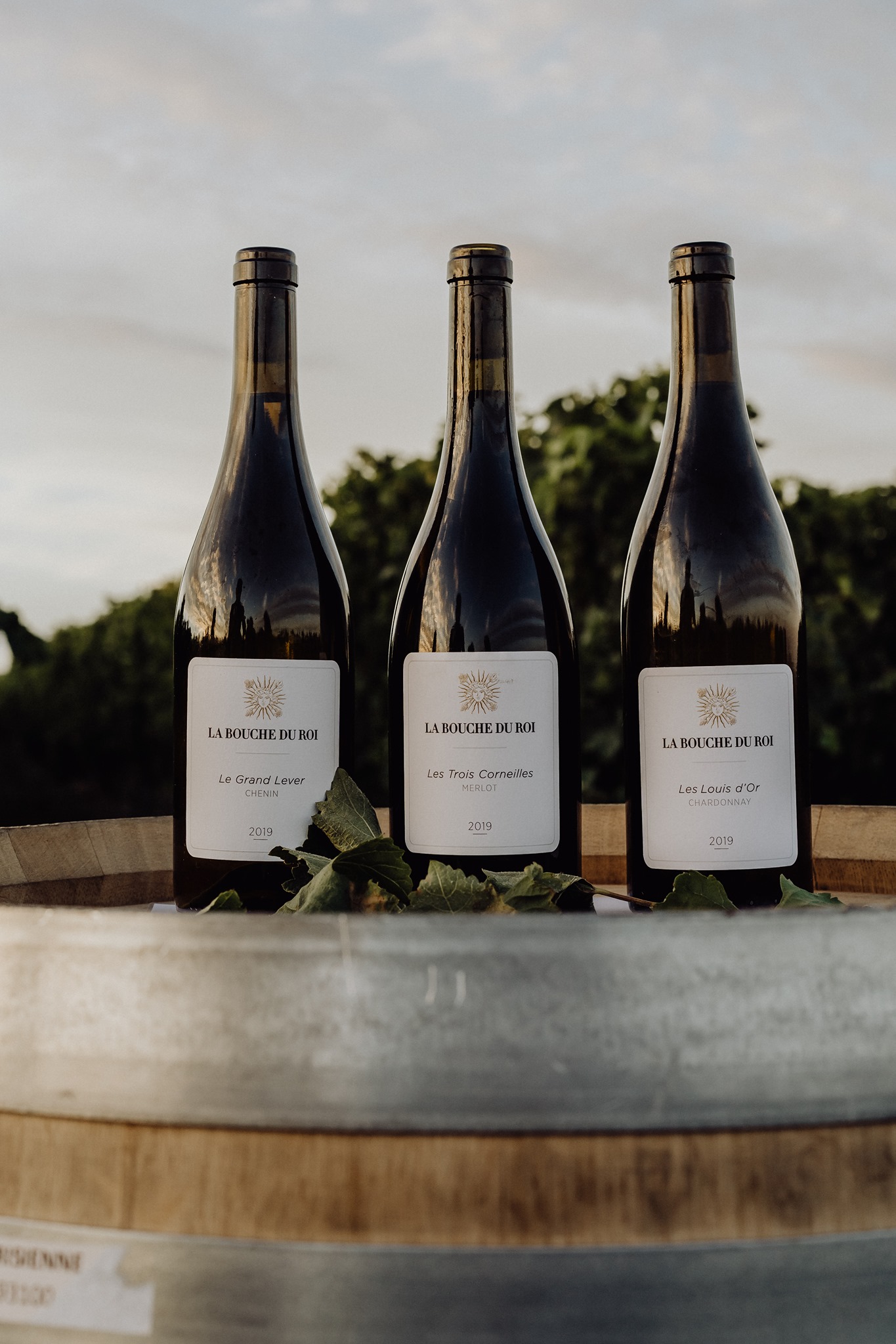 Le Domaine La Bouche Du Roi ⭐️ Book Tours & Tastings