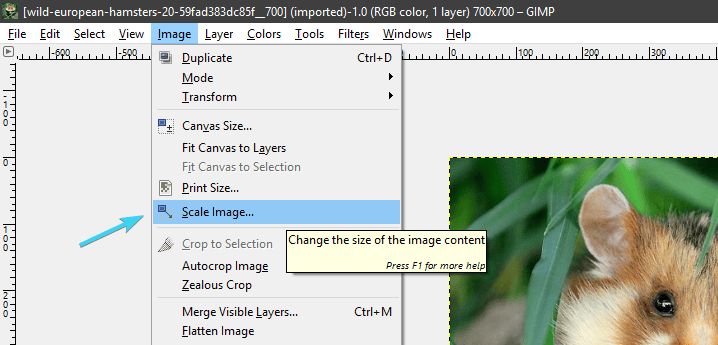 3 tools for resizing images without lossing quality