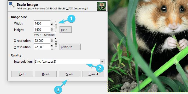 4 best image resizer software with no impact on quality