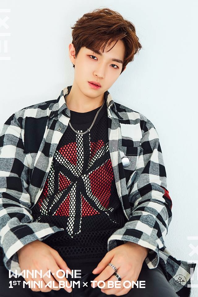 wanna one 李大輝