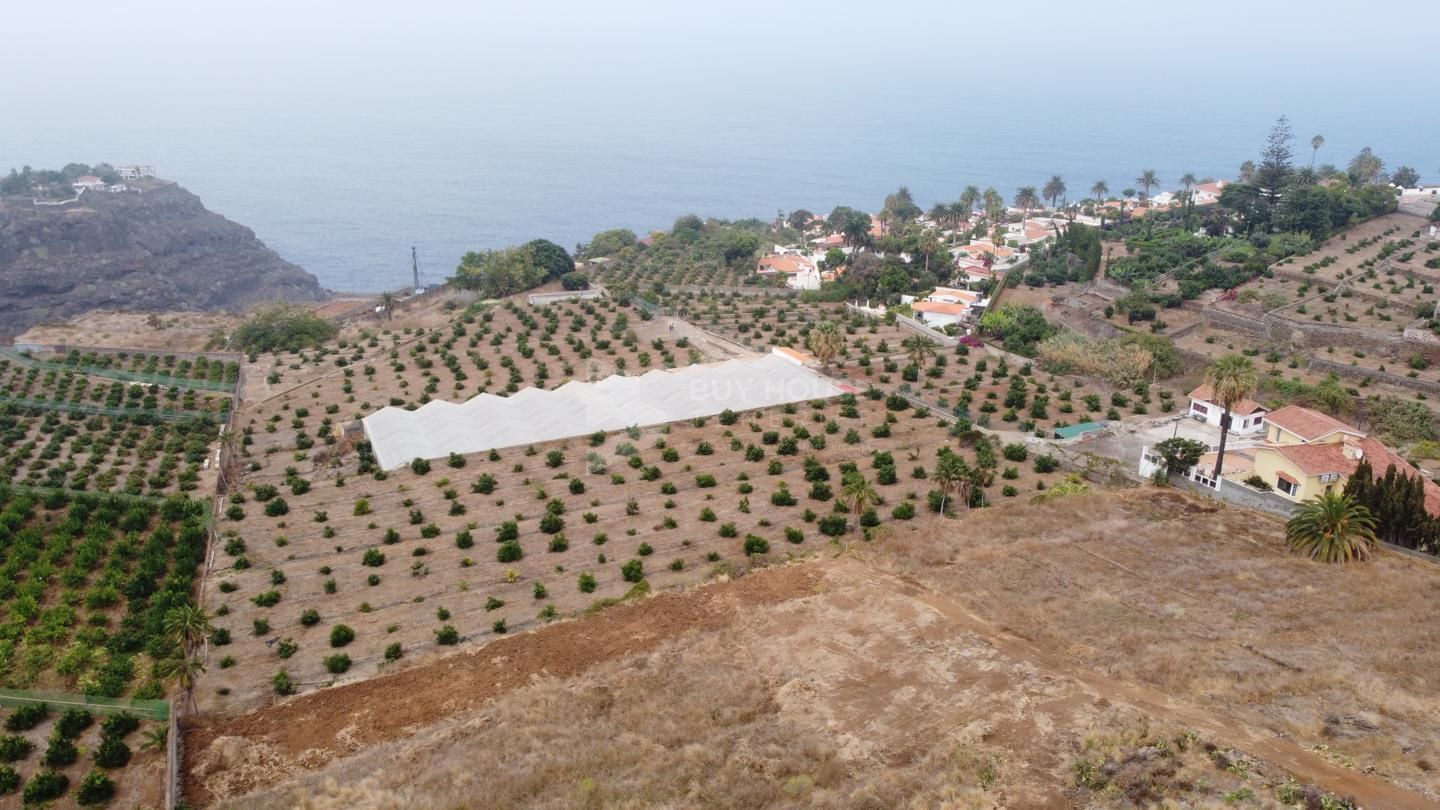 Buy House Tenerife Real Estate