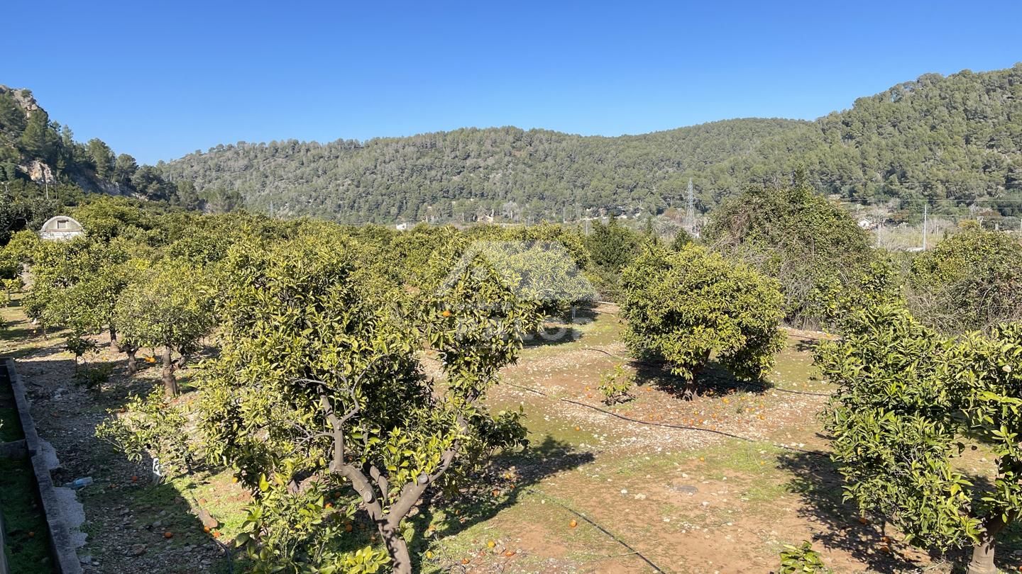 Finca Rústica en venta en La Barraca de Aguas Vivas de 44375 m2 11921 Inmobiliaria Palop