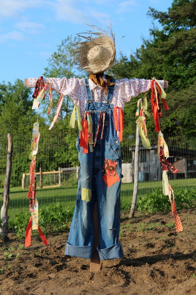 DIY Scarecrows Farmer’s Raggedy Helpers