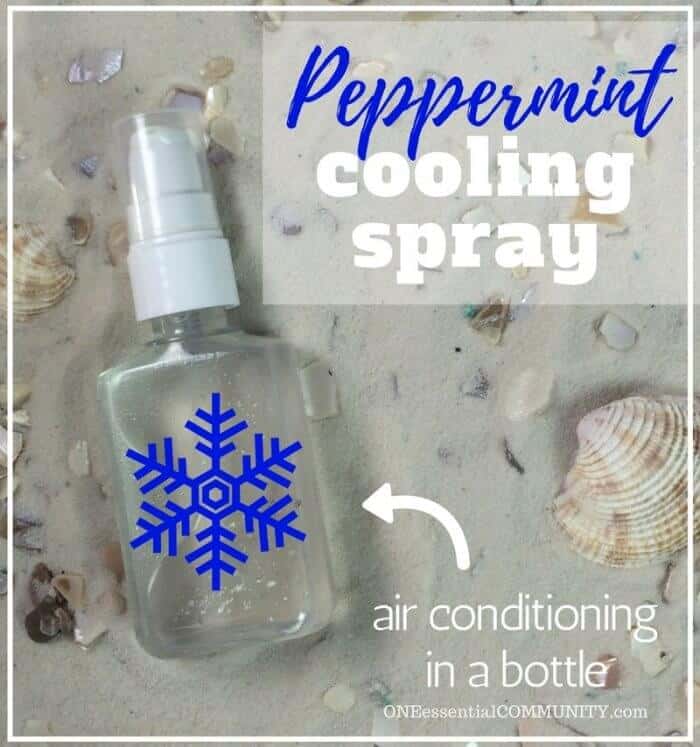 Homemaker’s Must Have DIY Household Sprays
