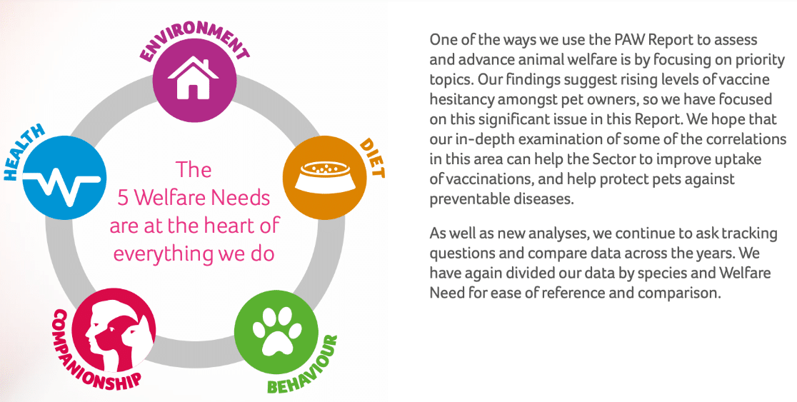How to Write a Summary of Survey Results (+7 Examples)