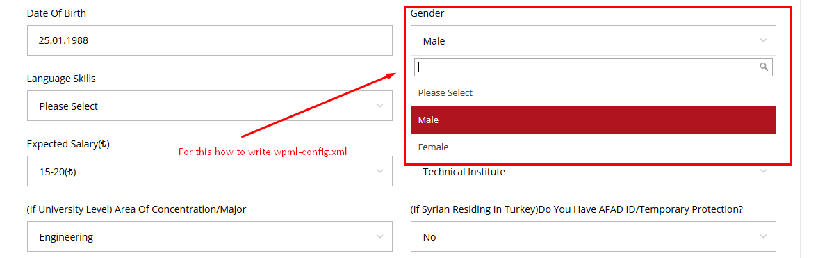 Unable to find Custom Fields Label andd Values in string translation