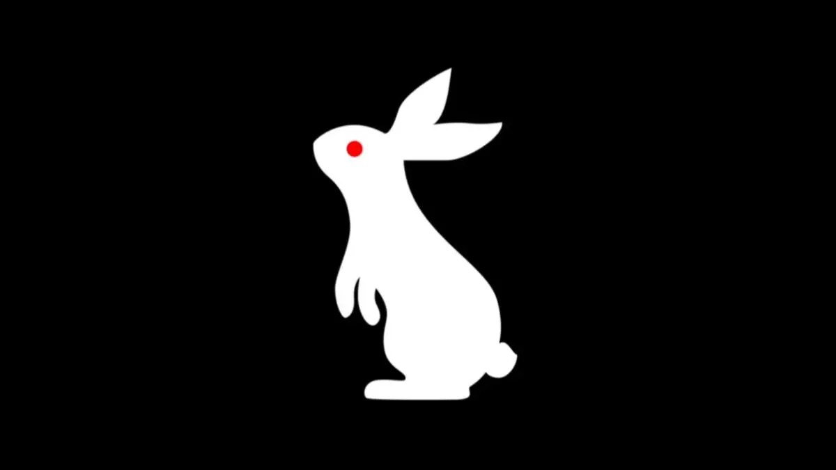 Latest White Rabbit Code Links To Mysterious Tik Tok Video WrestleTalk