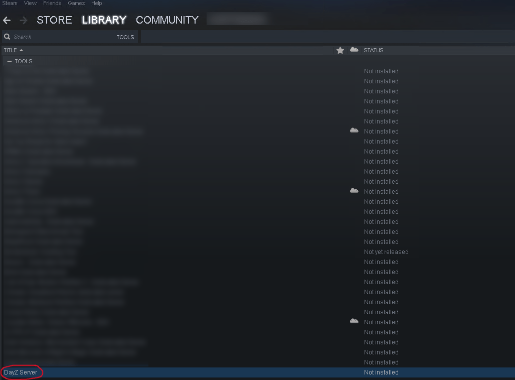 How to setup DayZ Standalone Server on Windows Server 2019 write