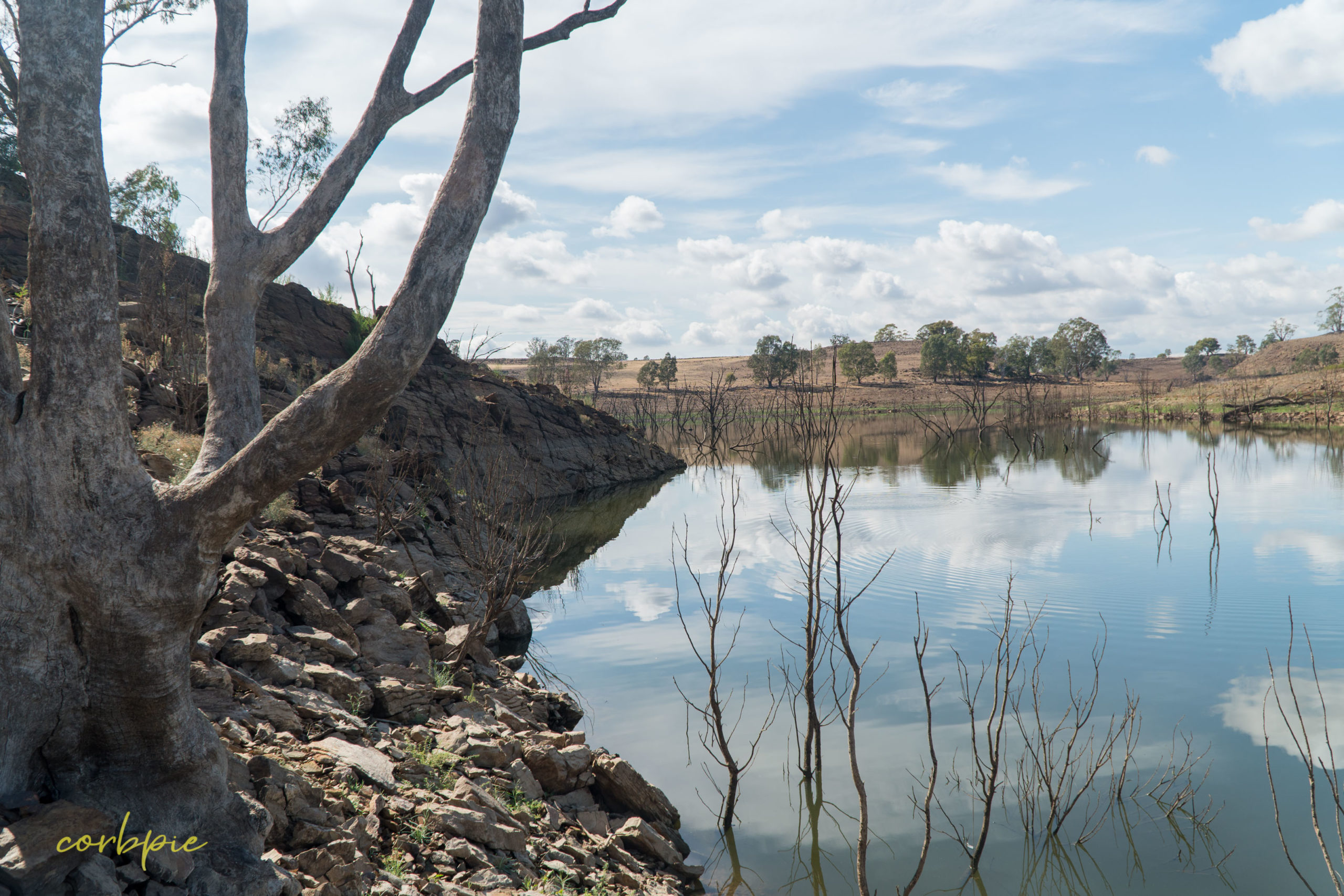 Lake Eppalock dropping water level