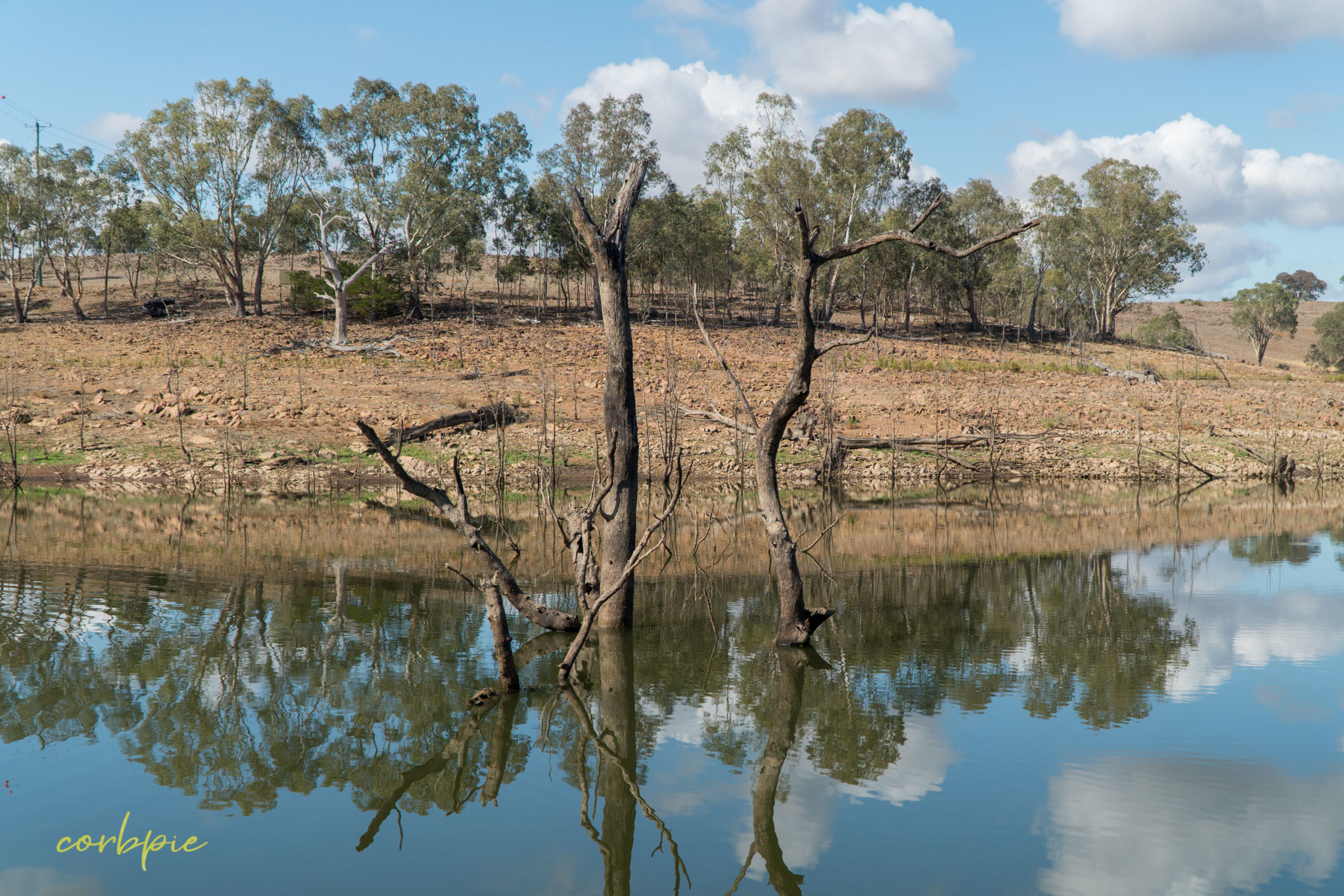 Lake Eppalock dropping water level