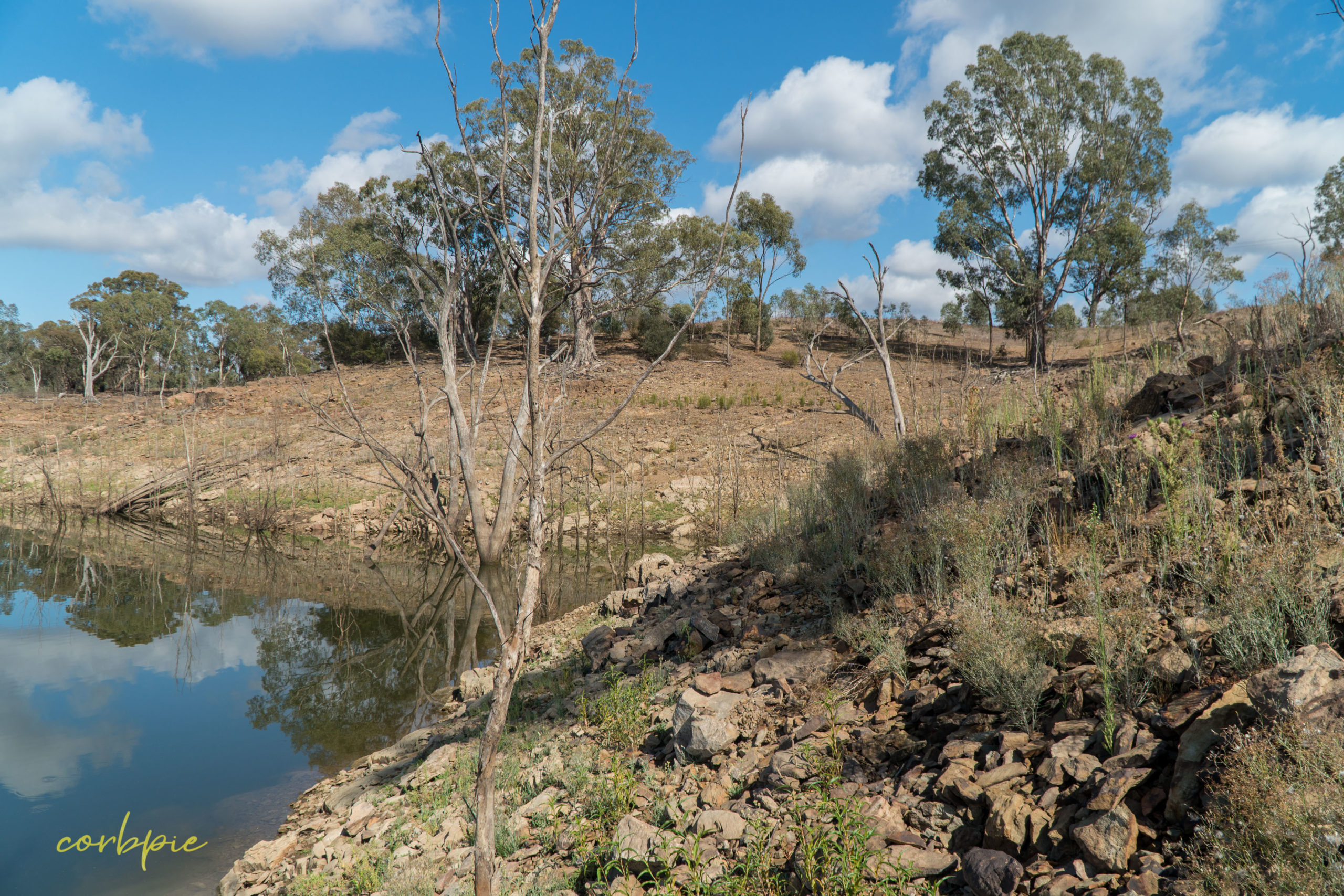 Lake Eppalock dropping water level