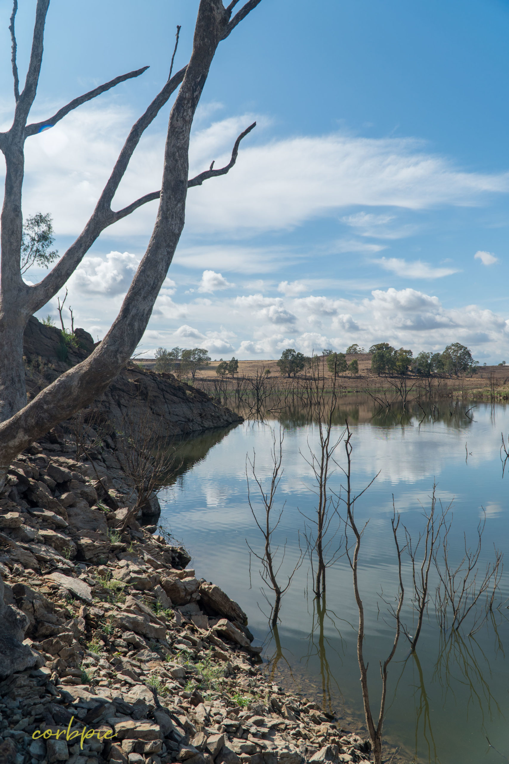 Lake Eppalock dropping water level