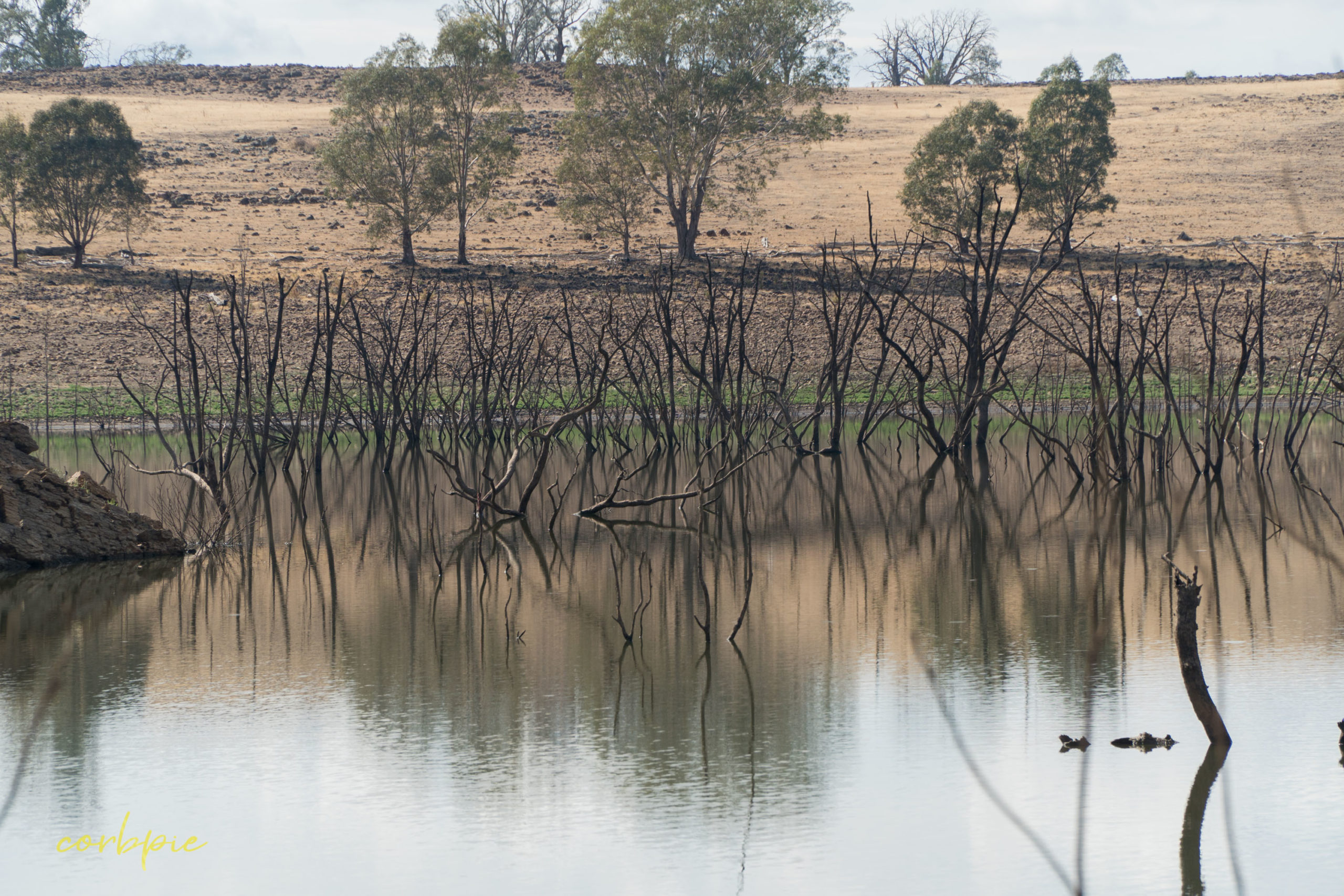 Lake Eppalock dropping water level