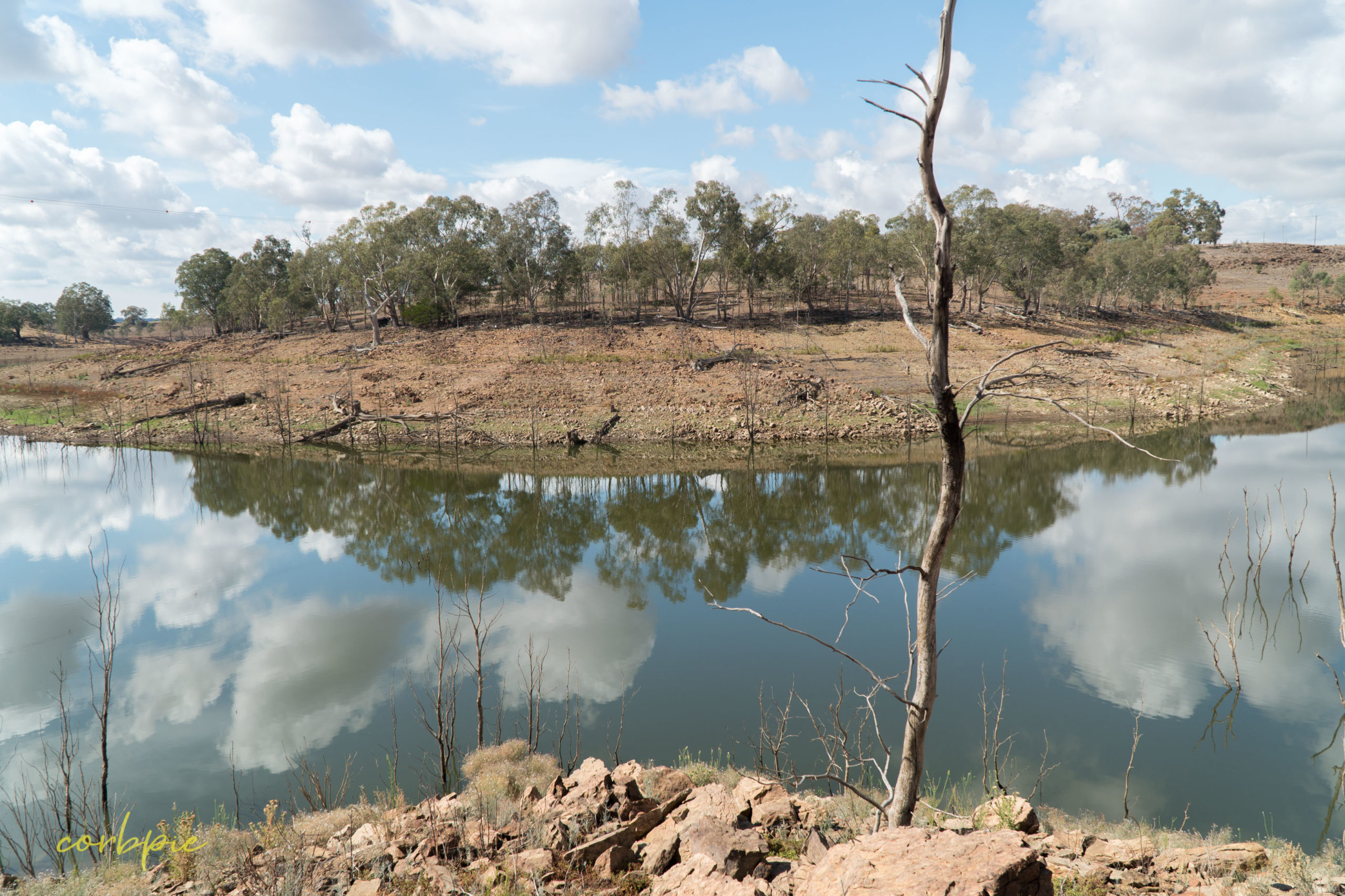 Lake Eppalock dropping water level
