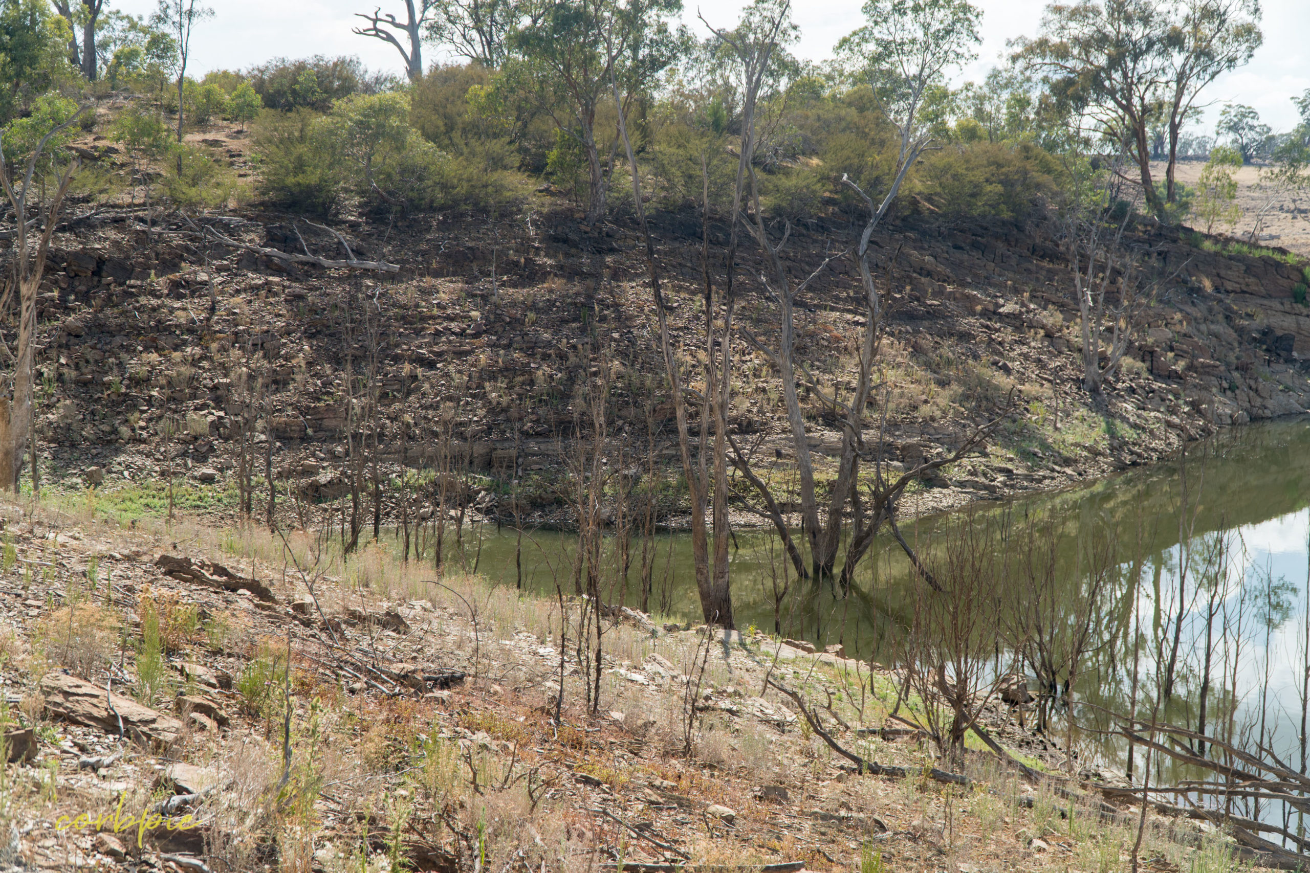 Lake Eppalock dropping water level