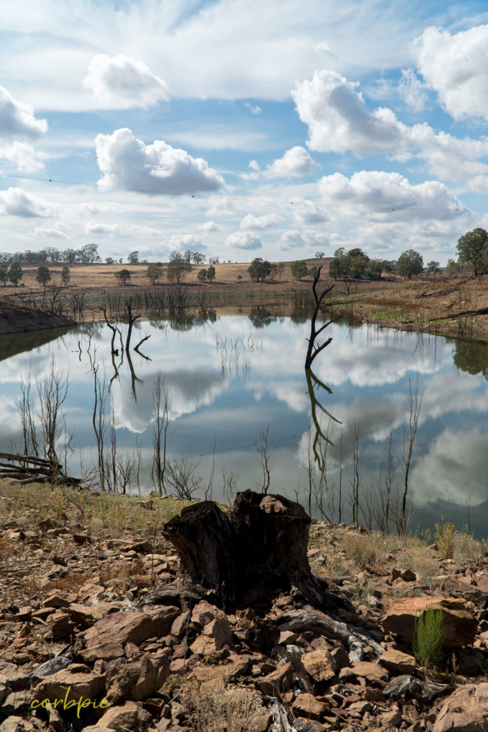 Lake Eppalock dropping water level