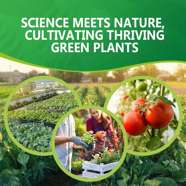 SlowRelease Plant Fertilizer Sticks Announcert