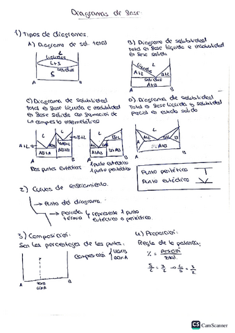 diagramas-de-fase-resueltos.pdf