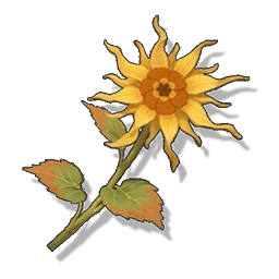 Luminous Calendula